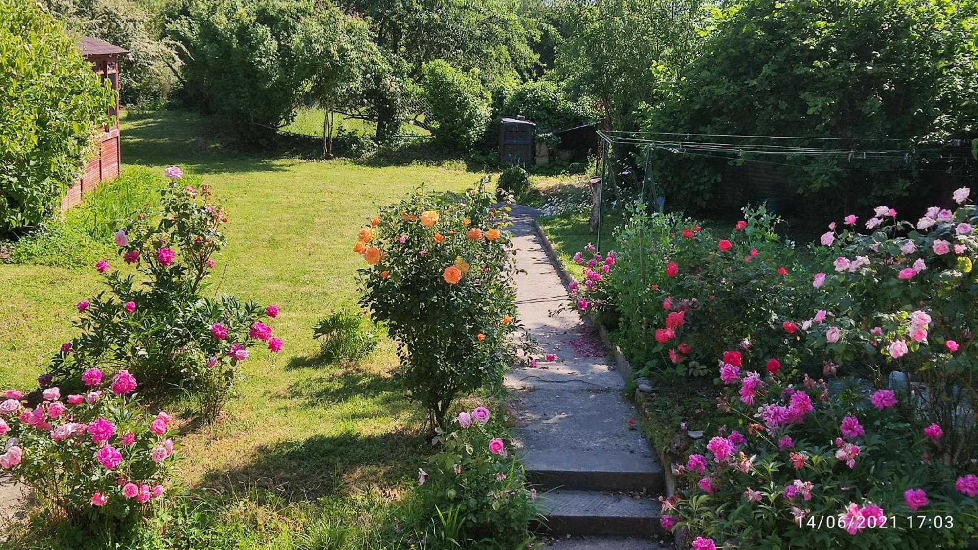 Le Petit Moulin Rouge, B&B, Sdb En-Suite, Parking Prive Gratuit Beauvoir  Exterior foto